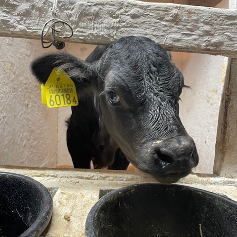 ようやく産まれました！！！